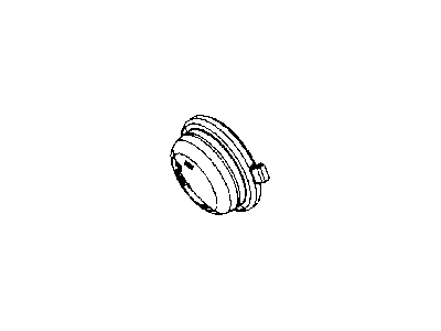 Mopar 55077894AD Lamp-Side REPEATER