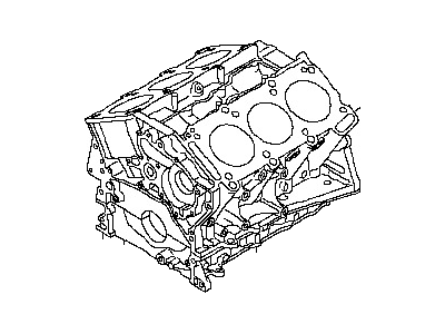 Nissan 11000-3LM0A Block Assy-Cylinder