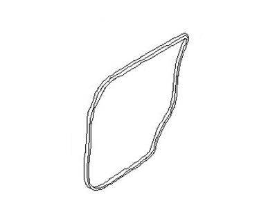 Nissan 76923-ZS50A Weatherstrip-Body Side, RH