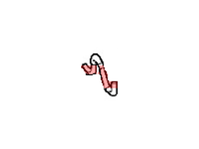 Nissan 18791-JF31B Hose-Drain, Canister