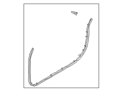 Nissan 80831-4Z300 Weatherstrip-Front Door, LH