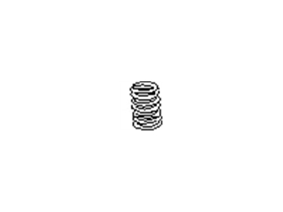 Infiniti 13203-53J00 Spring-Valve, Outer