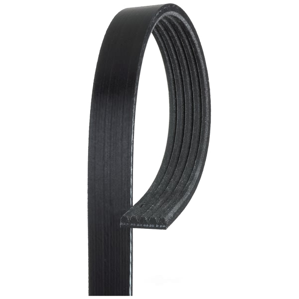 Gates Micro V V Ribbed Belt K050446