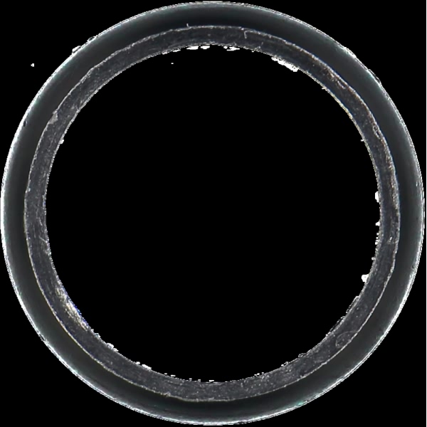 Victor Reinz Exhaust Pipe Flange Gasket 71-12874-00