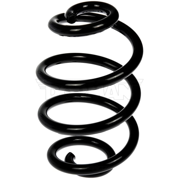 Dorman Rear Coil Springs 926-577