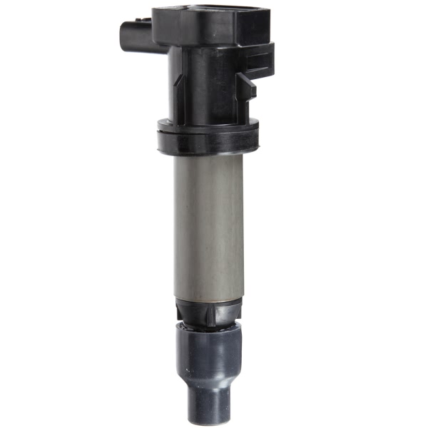 Delphi Ignition Coil GN10455