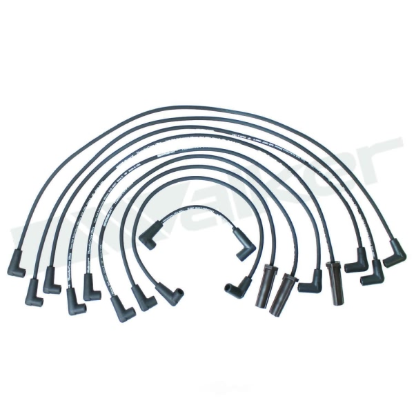 Walker Products Spark Plug Wire Set 924-1407