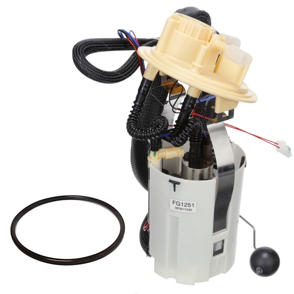 Delphi Fuel Pump Module Assembly FG1251