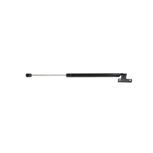 StrongArm Driver Side Back Glass Lift Support 4815