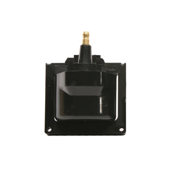 Delphi Ignition Coil GN10048