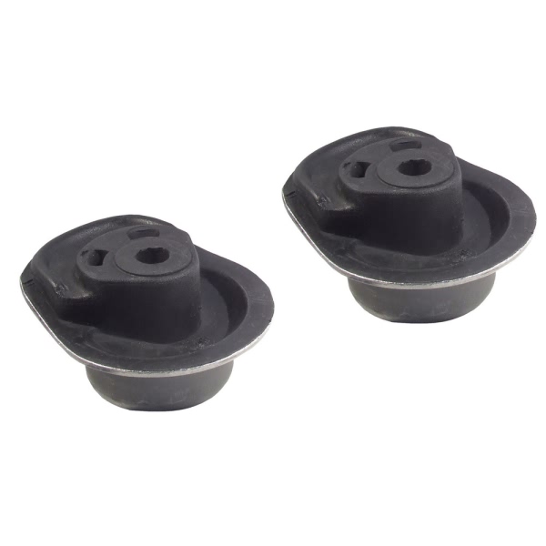 Delphi Rear Lower Axle Support Bushing TD796W