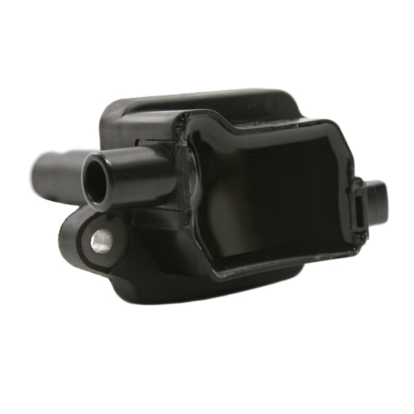 Delphi Ignition Coil GN10228