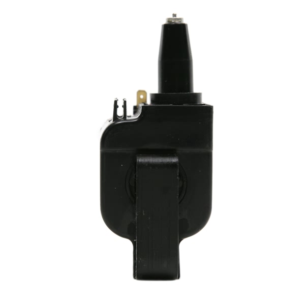 Delphi Ignition Coil GN10171