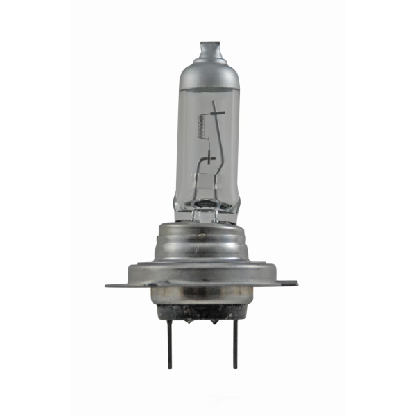 Hella H7P50Tb Performance Series Halogen Light Bulb H7P50TB