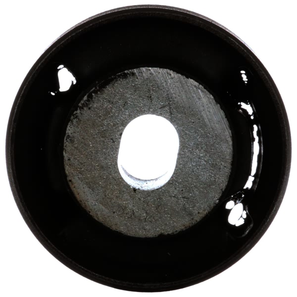 Delphi Front Lower Rearward Control Arm Bushing TD4017W