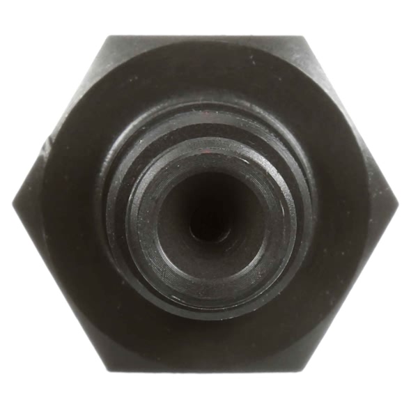 Delphi Diesel Fuel Injector 6760301