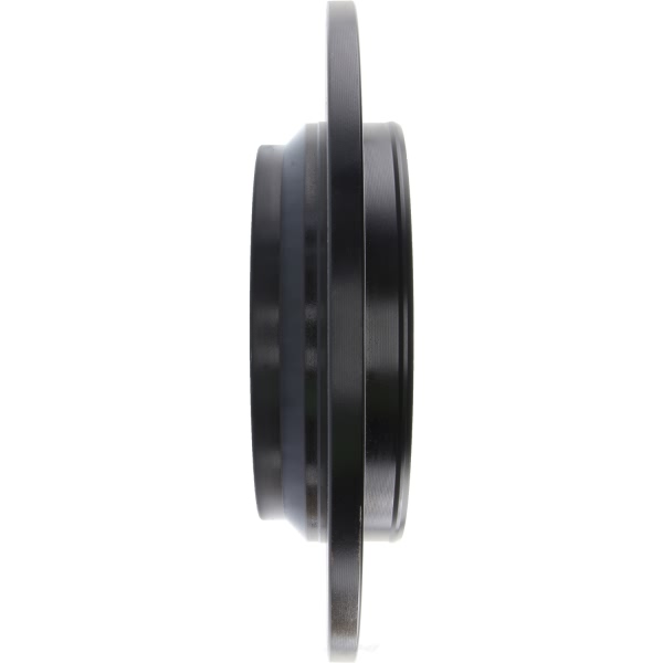 Centric Premium Solid Rear Brake Rotor 125.39030