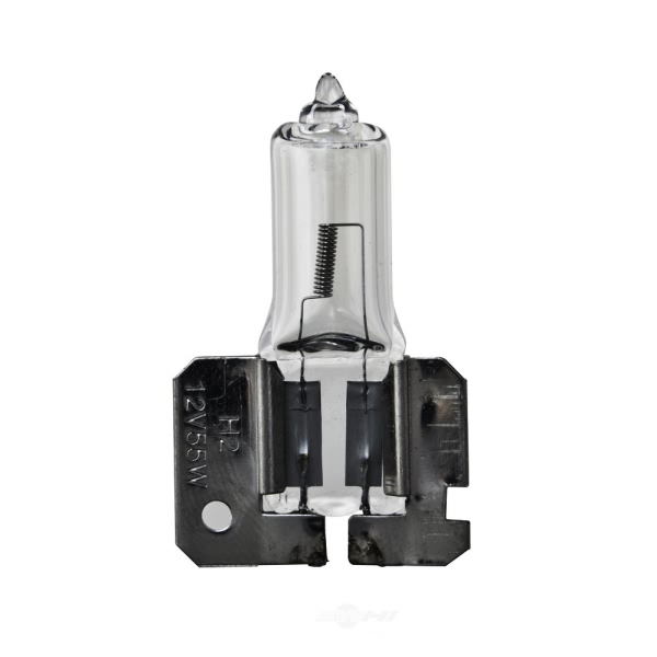 Hella H2 Standard Series Halogen Light Bulb H2