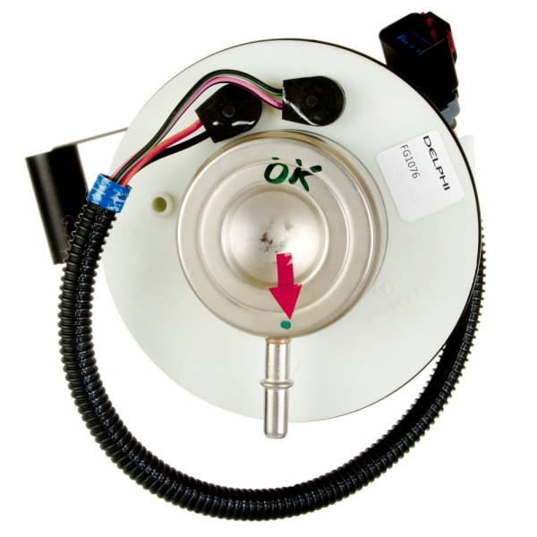 Delphi Fuel Pump Module Assembly FG1076