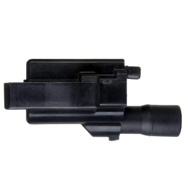 Delphi Ignition Coil GN10286