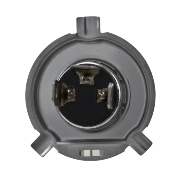 Hella H4 Design Series Halogen Light Bulb H71070682