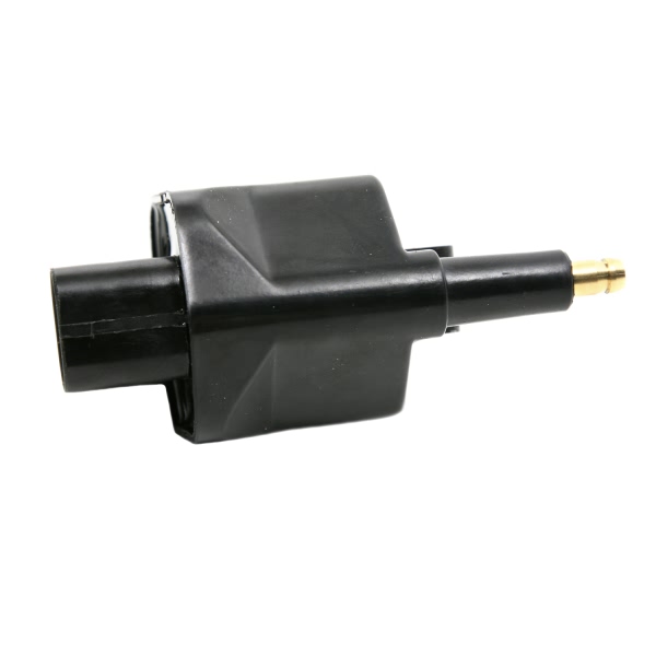 Delphi Ignition Coil GN10172