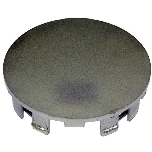 Dorman Silver Painted Wheel Center Cap 909-091