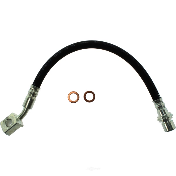 Centric Rear Passenger Side Lower Brake Hose 150.66393