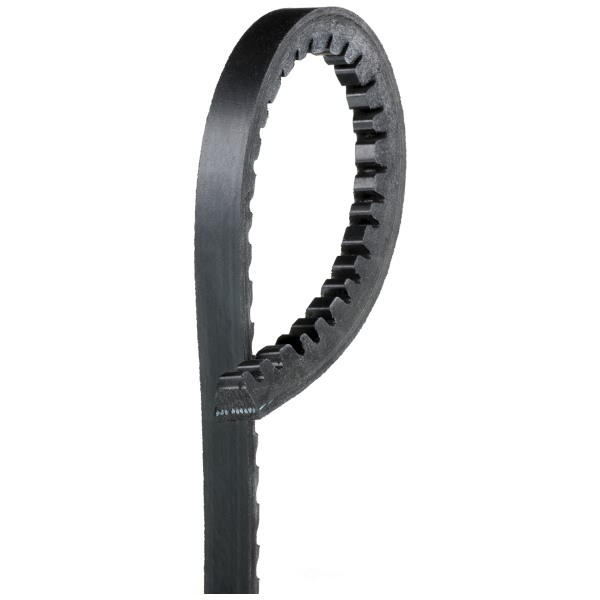 Gates Automotive Xl Accessory Drive Belt 7365