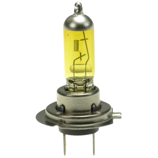 Hella H7 Design Series Halogen Light Bulb H71070702