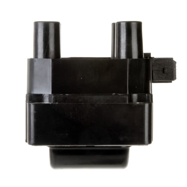 Delphi Ignition Coil GN10295