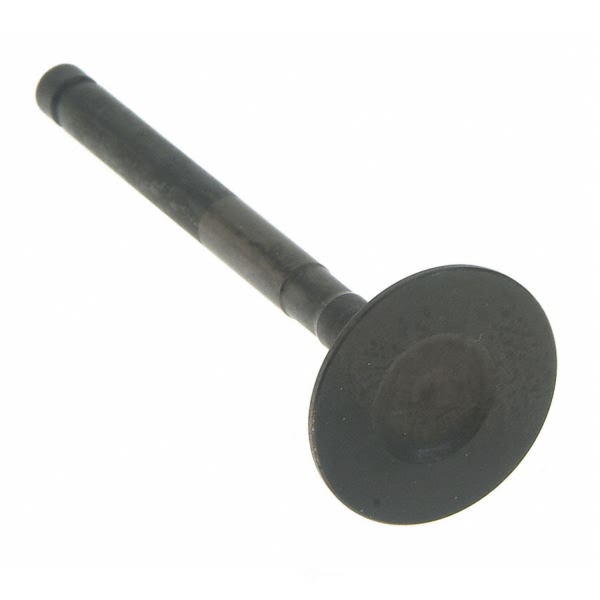 Sealed Power Engine Exhaust Valve V-2586