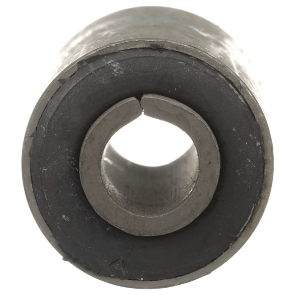 Delphi Rear Forward Leaf Spring Bushing TD5021W