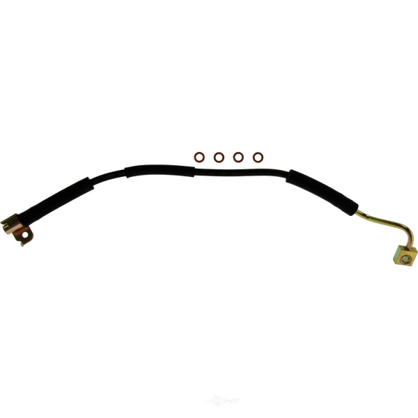 Centric Rear Passenger Side Lower Brake Hose 150.65346