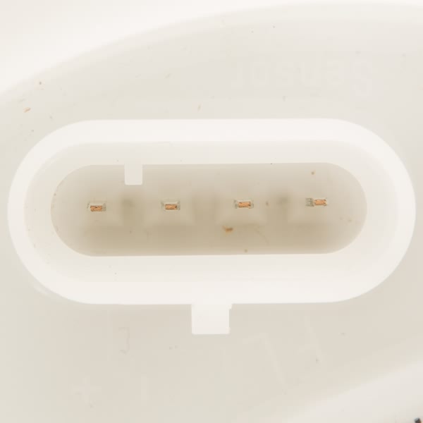 Delphi Fuel Pump Module Assembly FG1162
