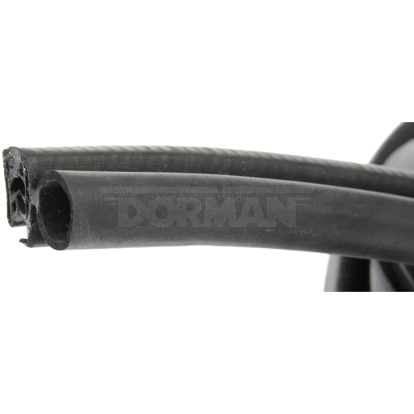 Dorman OE Solutions Passenger Side Door Seal 926-252