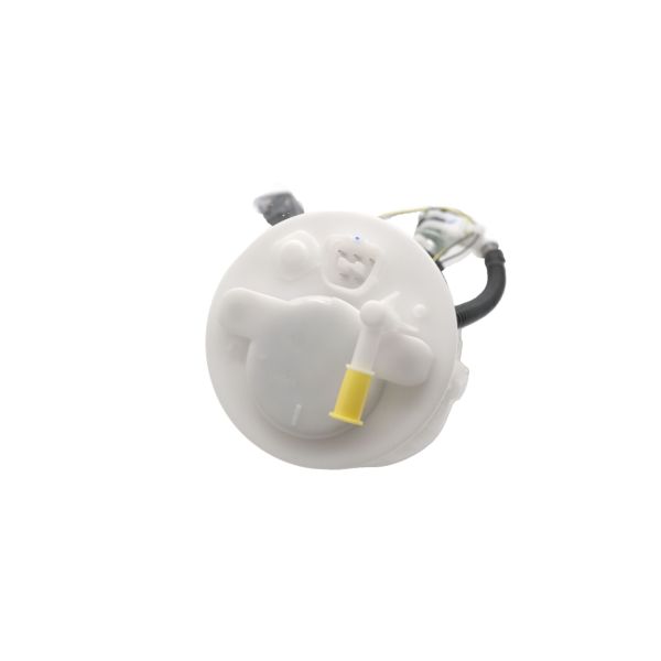 Autobest Fuel Pump Module Assembly F6255A