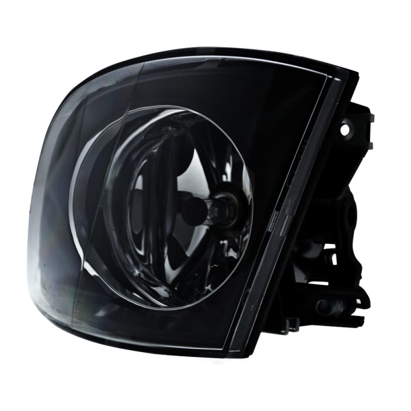 Hella Driver Side Replacement Fog Light 354698011