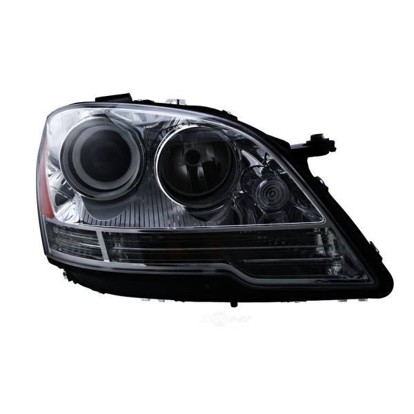 Hella Headlamp - Passenger Side 263064061