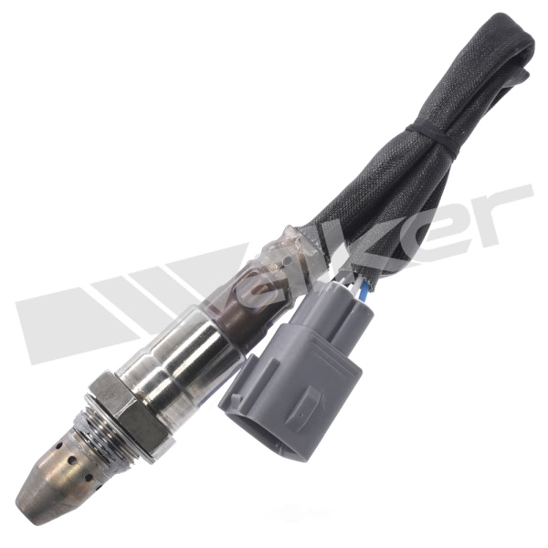 Walker Products Oxygen Sensor 350-64073