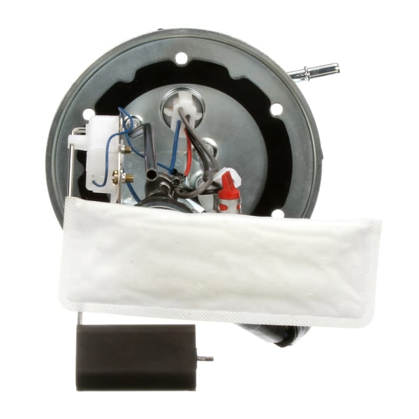 Delphi Fuel Pump And Sender Assembly HP10086