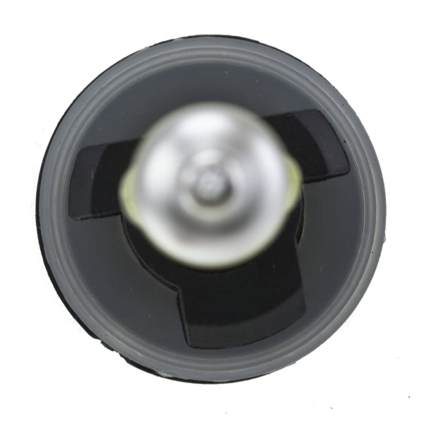 Hella 893 Design Series Halogen Light Bulb H71071192