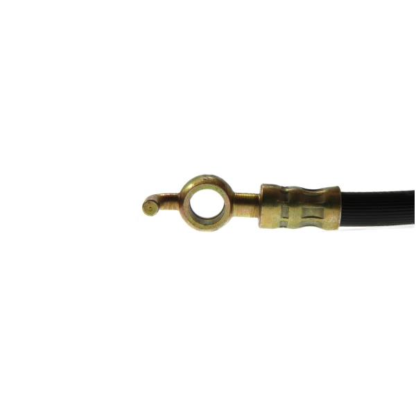 Centric Rear Brake Hose 150.42317