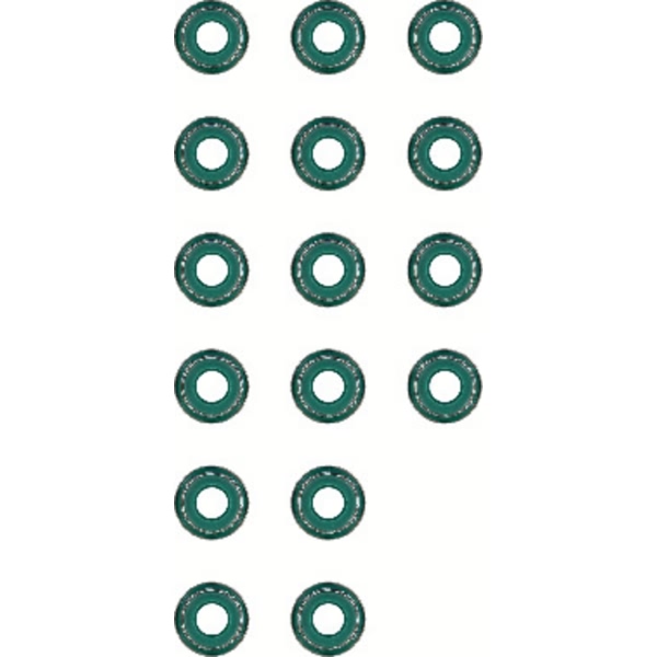 Victor Reinz Valve Stem Oil Seal Set 12-31306-01