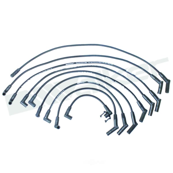 Walker Products Spark Plug Wire Set 924-1443