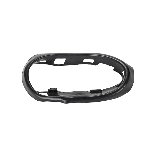 TYC Passenger Side Headlight Trim Seal 20-3006-90