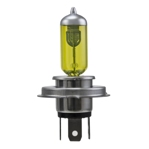 Hella H4 Design Series Halogen Light Bulb H71070682