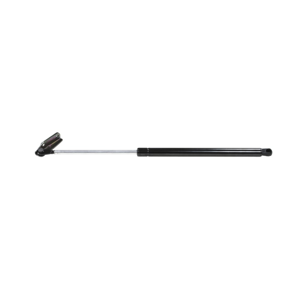 StrongArm Passenger Side Liftgate Lift Support 4955R