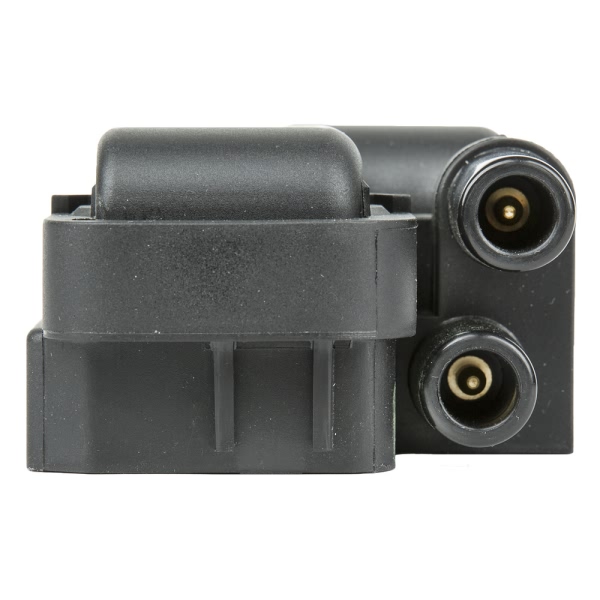 Delphi Ignition Coil GN10361