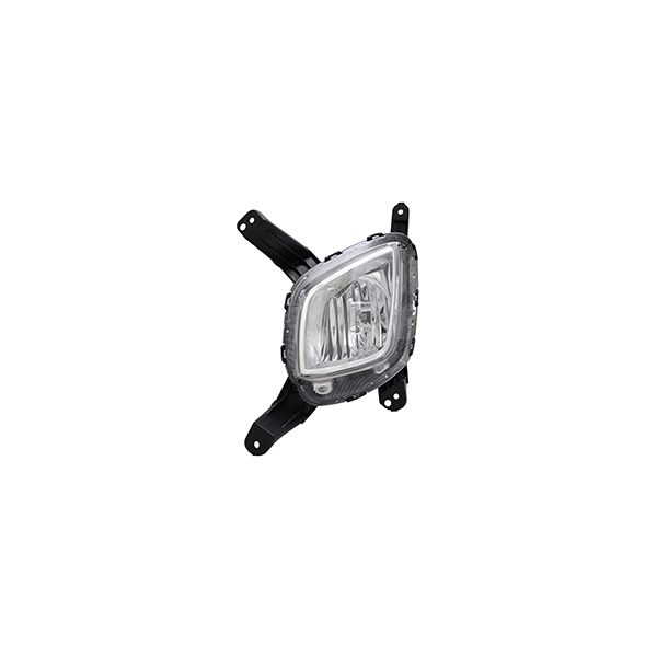 TYC TYC NSF Certified Fog Light Assembly 19-6128-00-1